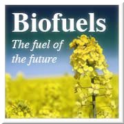 biodiesel pros and cons