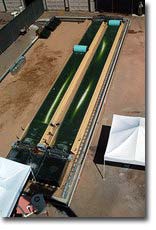 biofuel algae center