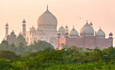 tajnews